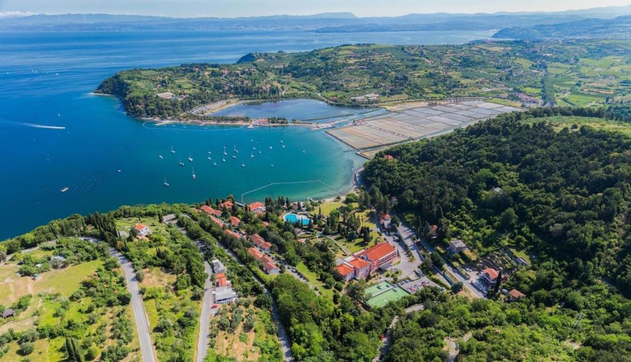 Dino Studio And Room Apartments Portorož Eksteriør billede